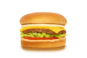 In-N-Out-Cheeseburger